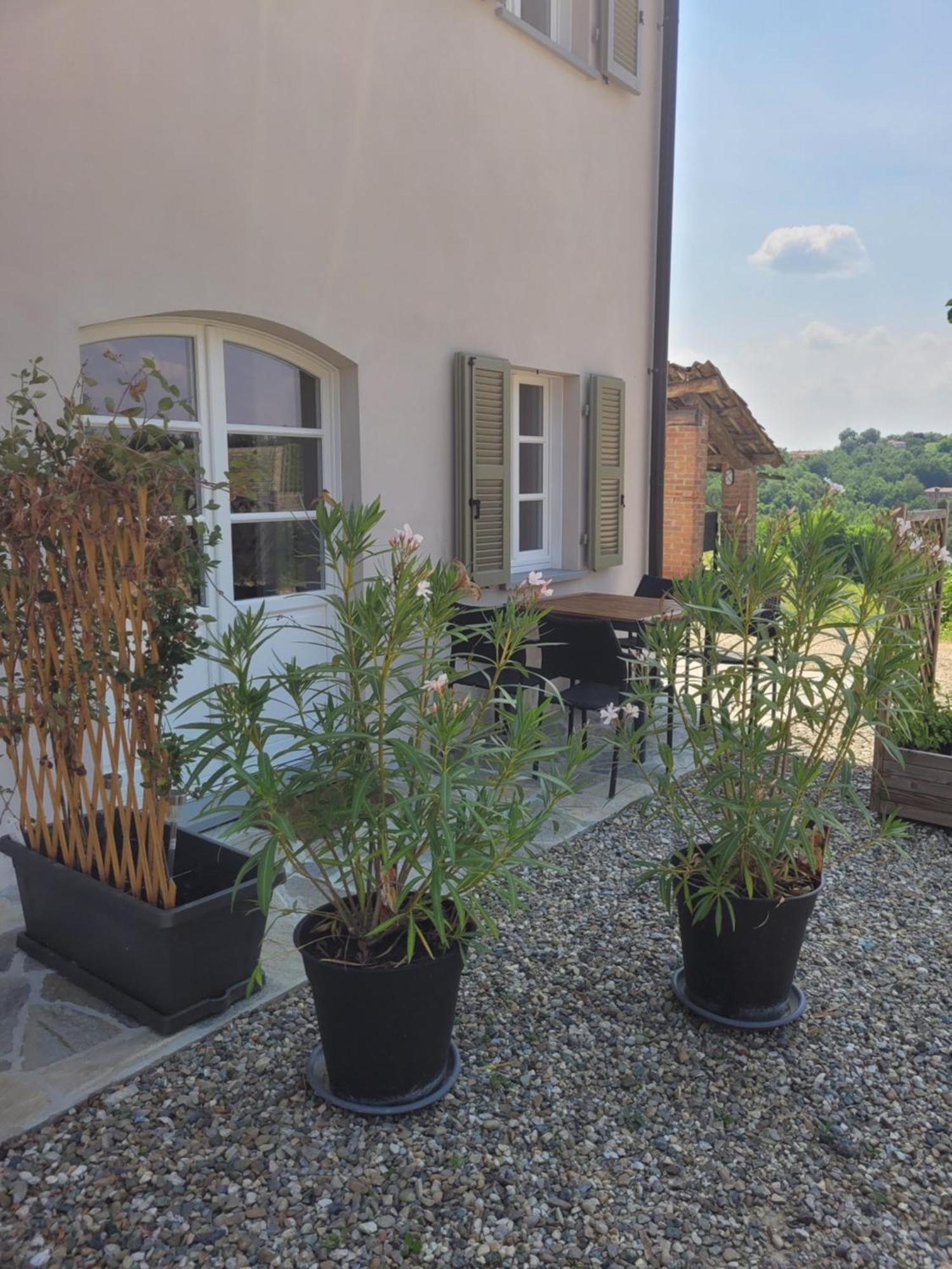 Cascina Allegria Castelnuovo  Buitenkant foto